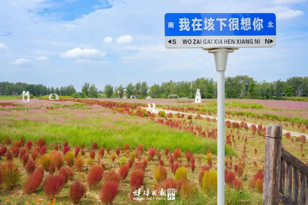 马年春节去哪玩?我,要去固镇了!